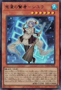 慈愛の賢者－シエラ