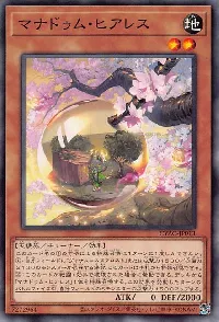 マナドゥム・ヒアレス