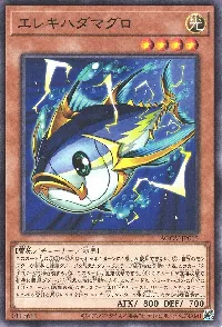 エレキハダマグロ