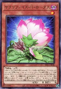 サクリファイス・Ｄ・ロータス