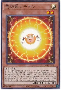 電極獣カチオン