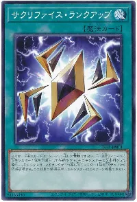 サクリファイス・ランクアップ