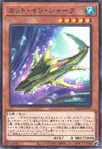 カット・イン・シャーク