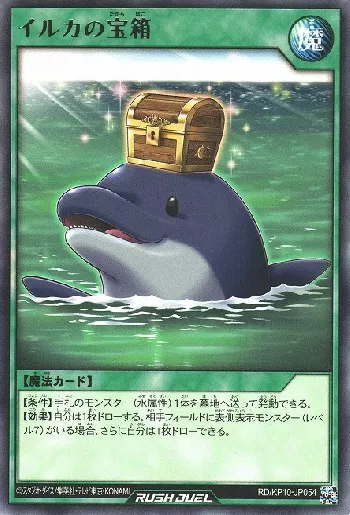 イルカの宝箱