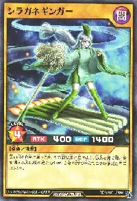 シラガネギンガー