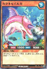 カタオモイルカ