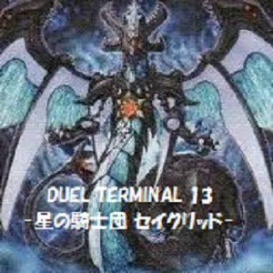 DUEL TERMINAL -星の騎士団 セイクリッド!!-カードリスト